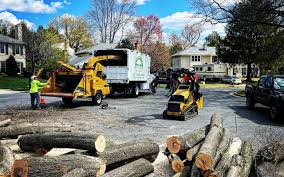 Best Tree Trimming and Pruning  in Penhook, VA
