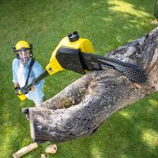Best Firewood Processing and Delivery  in Penhook, VA