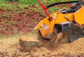 Best Lawn Pest Prevention  in Penhook, VA