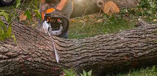 Best Lawn Watering Services  in Penhook, VA