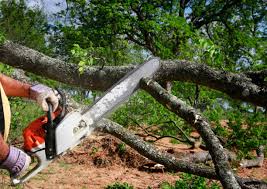 Best Organic Lawn Care Solutions  in Penhook, VA