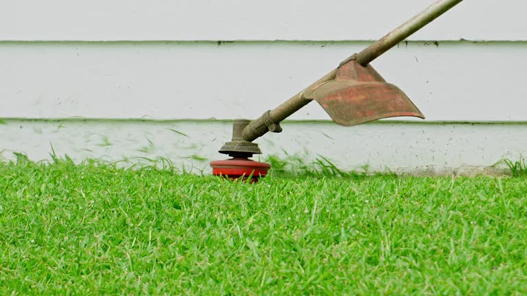 Best Lawn Irrigation Installation and Maintenance  in Penhook, VA