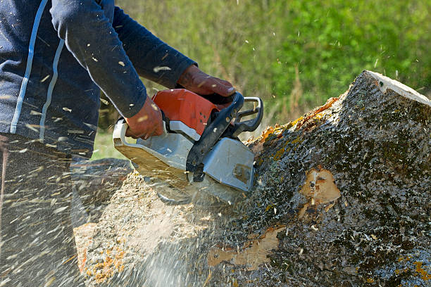 Best Lawn Drainage Solutions  in Penhook, VA